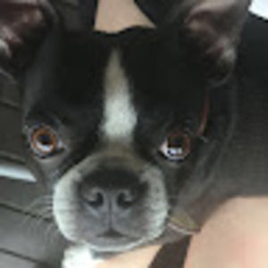 Meet your Posher, Jade